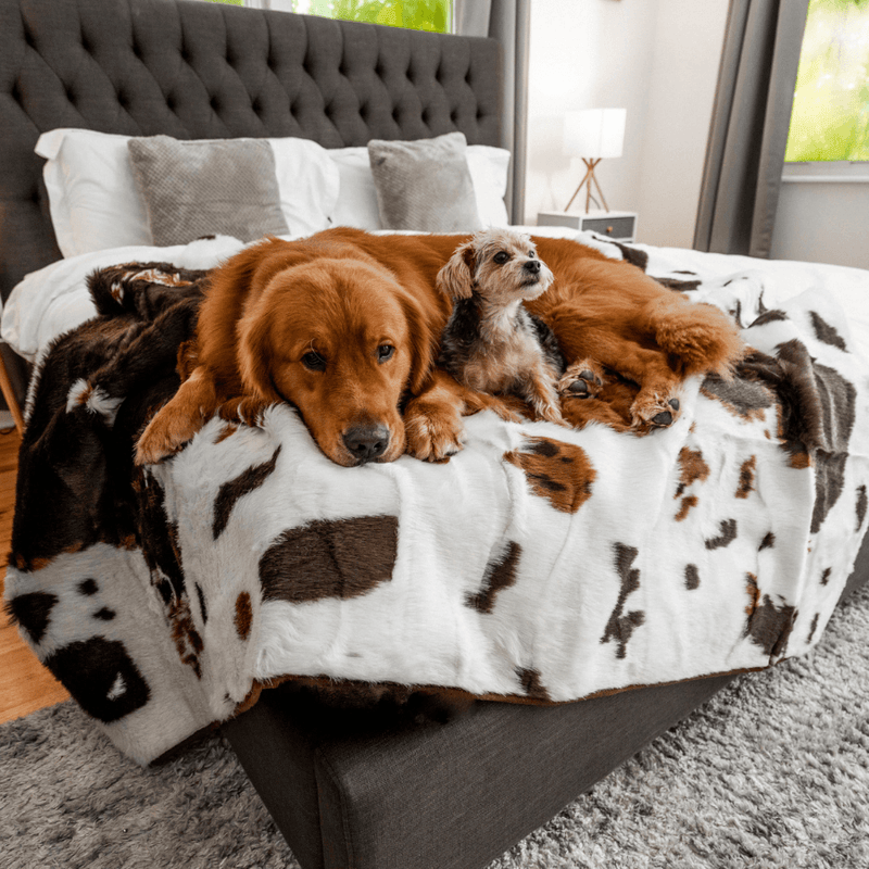 Load image into Gallery viewer, PupProtector™ Waterproof Throw Blanket - Brown Faux Cowhide
