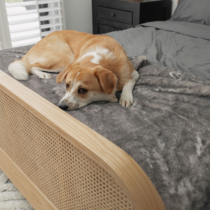 Load image into Gallery viewer, PupProtector™ Luxe Waterproof Bed Runner - Ultra Soft Chinchilla
