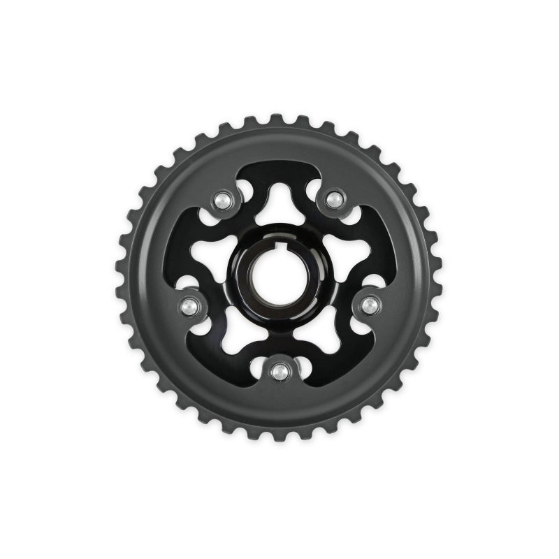 Load image into Gallery viewer, AEM Electronics Tru-Time Cam Gear Black 5-Bolt Honda D16Y7 &amp; D16Y8
