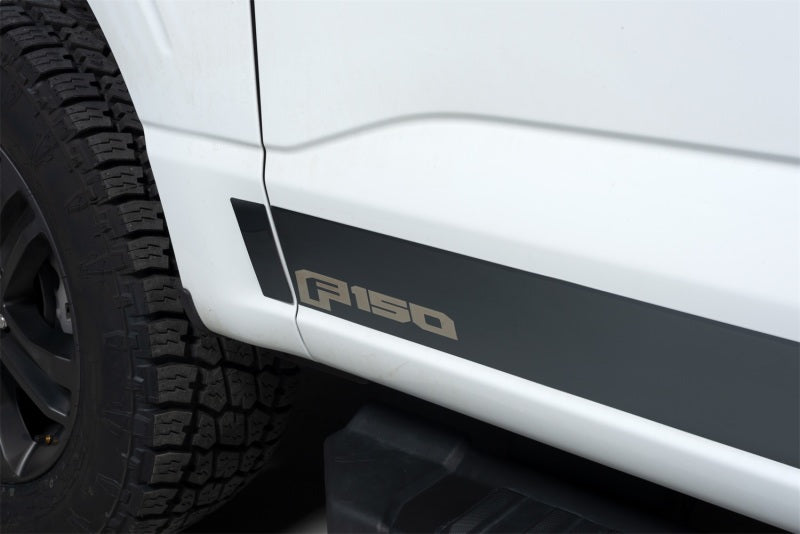 Load image into Gallery viewer, Putco 2021 Ford F-150 Reg Cab 8ft Long Box Ford Licensed Blk Platinum Rocker Panels (4.25in 10pc)
