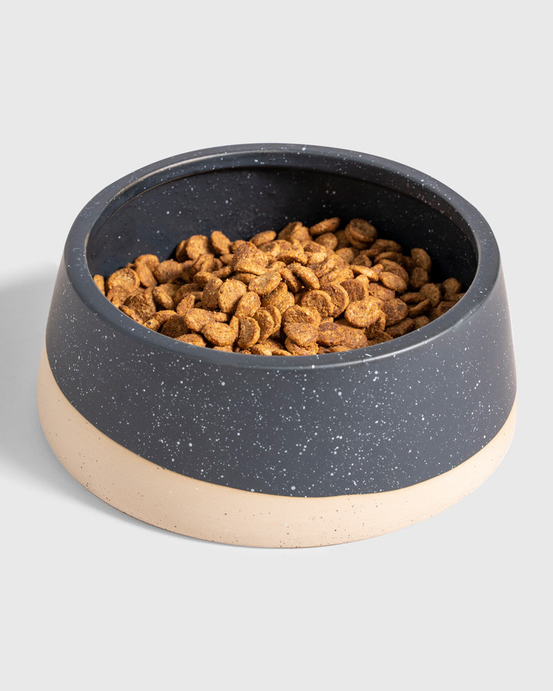 Load image into Gallery viewer, Stoneware Dog Bowl
