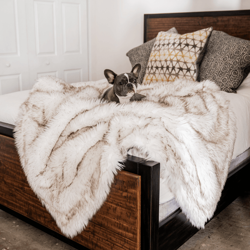 Load image into Gallery viewer, PupProtector™ Waterproof Throw Blanket - White with Brown Accents
