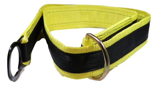 6 Ft Anchorage/Tie-Off D-Ring & D-Ring | 96590D-6