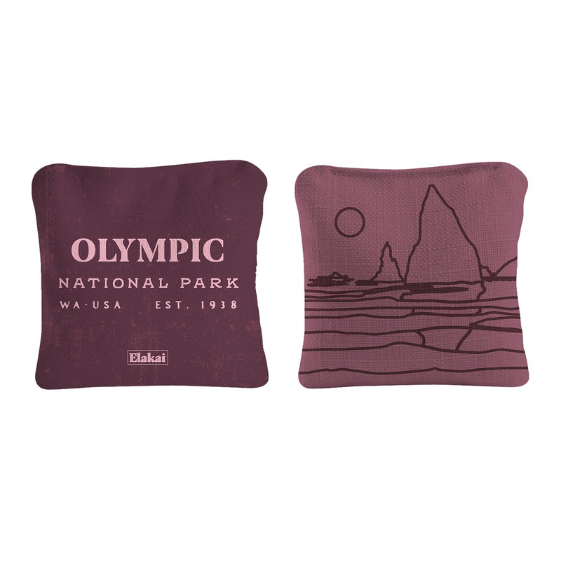 Load image into Gallery viewer, 6-in Dual-Sided Cornhole Bags | National Parks Collection
