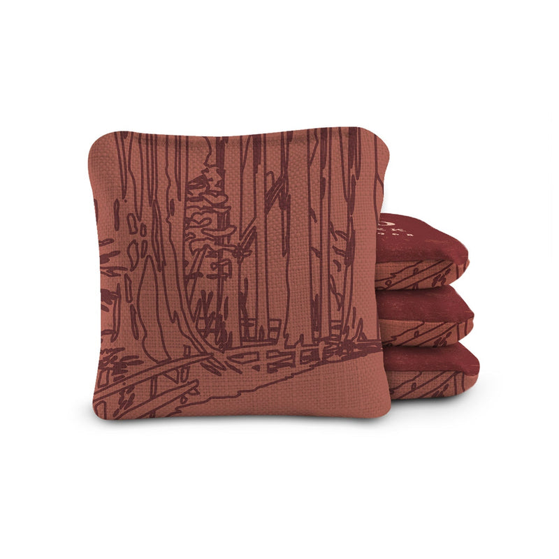 Load image into Gallery viewer, 6-in Dual-Sided Cornhole Bags | National Parks Collection
