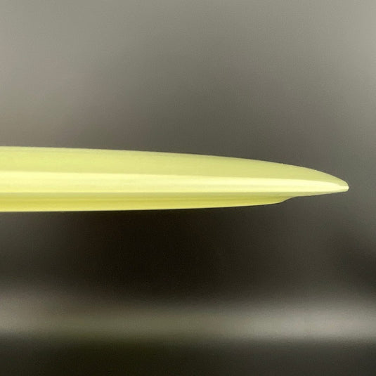 Proto Glow Champion Tern
