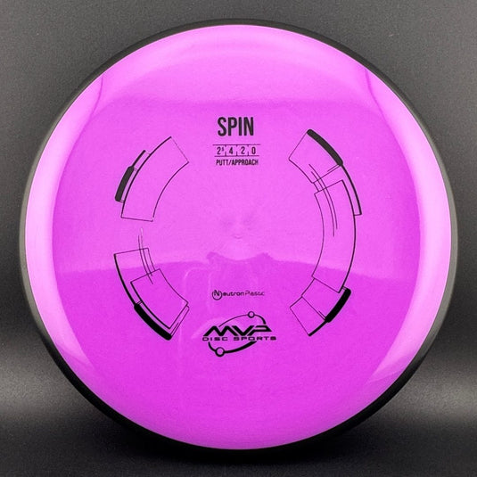 Neutron Spin