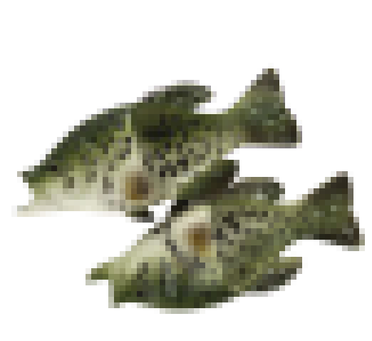 Load image into Gallery viewer, Fish Sandal Adult Medium-Crappie
