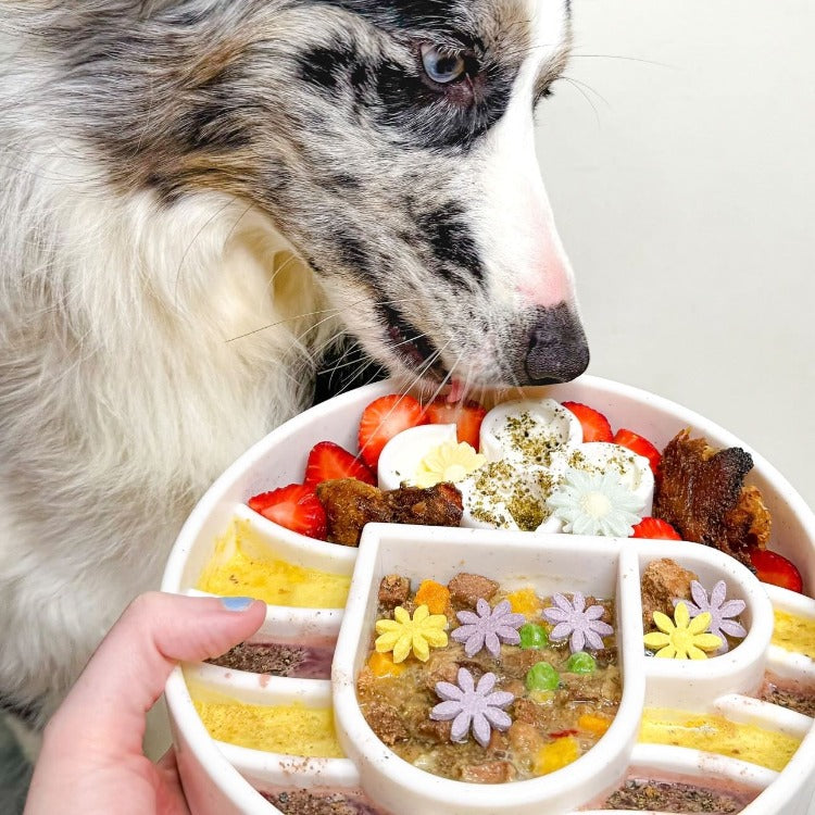 Load image into Gallery viewer, Java eBowl Deep Slow Feeder Dog Bowl for Enrichment | USA Made
