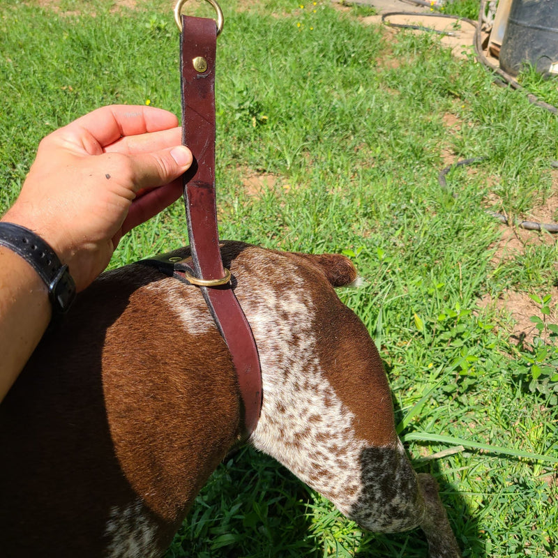 Load image into Gallery viewer, Durham Dog Training Flank Collar
