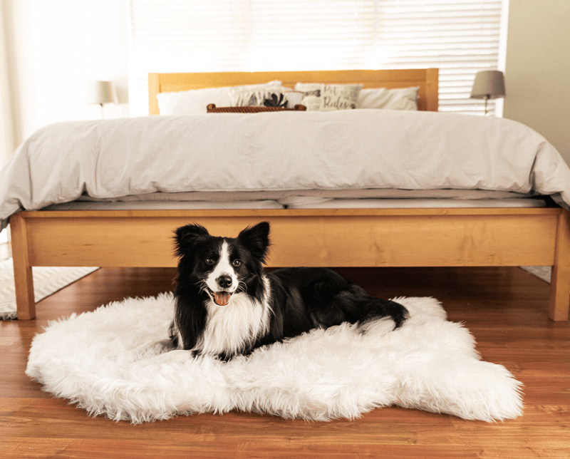 Load image into Gallery viewer, PupRug by Paw.com® Faux Fur Orthopedic Dog Bed - Curve Polar White
