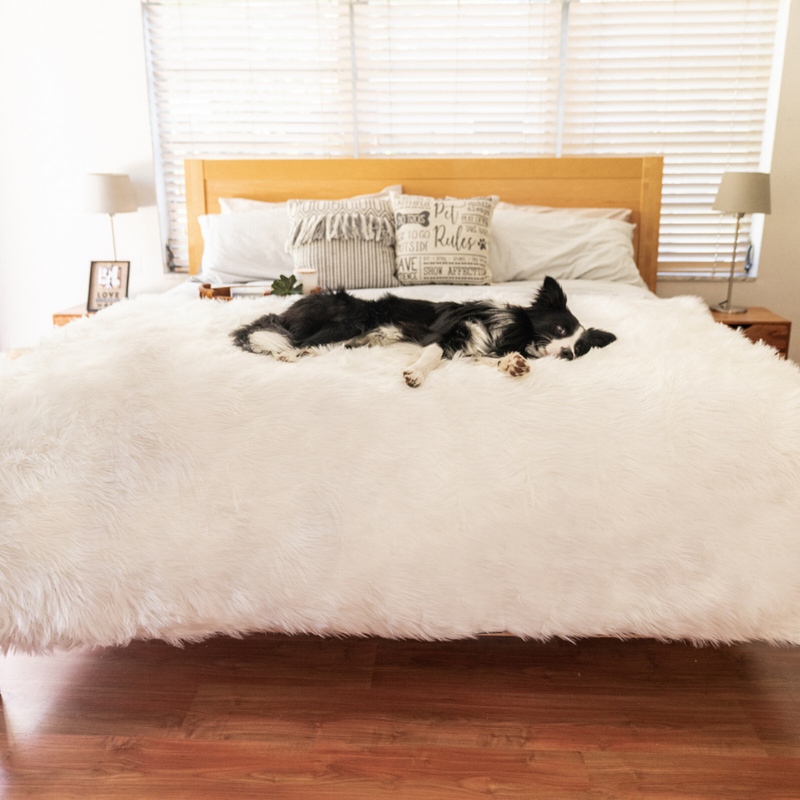 Load image into Gallery viewer, PupProtector™ Waterproof Throw Blanket - Polar White
