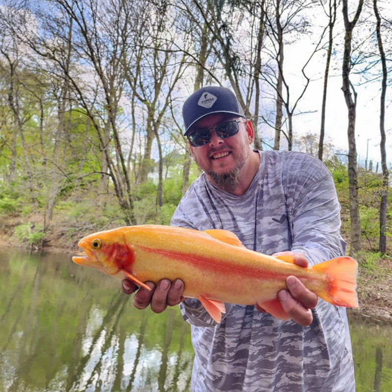 Load image into Gallery viewer, SOL Invictus Pro Fishing Shirt
