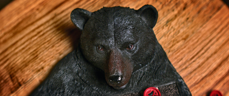 Load image into Gallery viewer, Checkerboard Set-Bear
