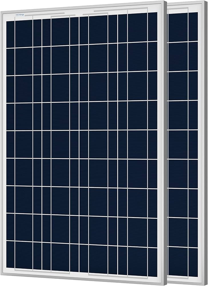 Load image into Gallery viewer, Acopower 100w mono pack
 2x100w
