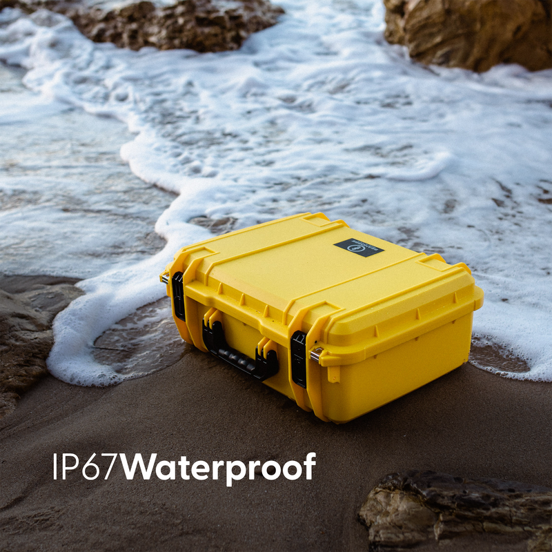 Load image into Gallery viewer, Seahorse 720
