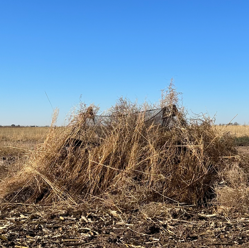 Load image into Gallery viewer, Double Up System - Mossy Oak Habitat
