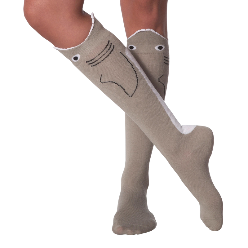 Load image into Gallery viewer, Wide Mouth Shark
