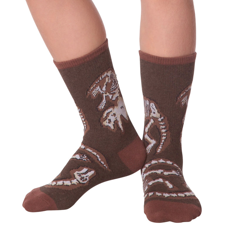 Load image into Gallery viewer, Dino Bones
