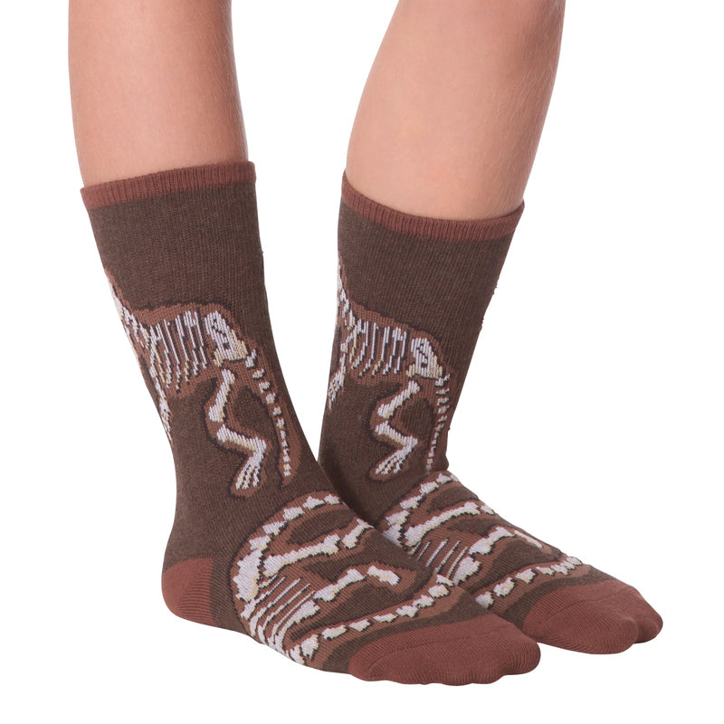 Load image into Gallery viewer, Dino Bones
