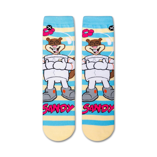 Spongebob Squarepants Sandy Cheeks