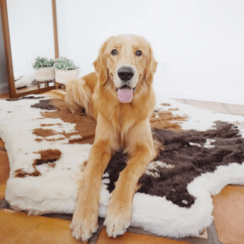 Load image into Gallery viewer, PupRug® Animal Print Memory Foam Dog Bed - Brown Faux Cowhide
