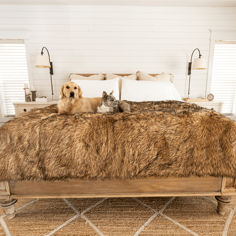 Load image into Gallery viewer, PupProtector™ Waterproof Throw Blanket - Sable Tan
