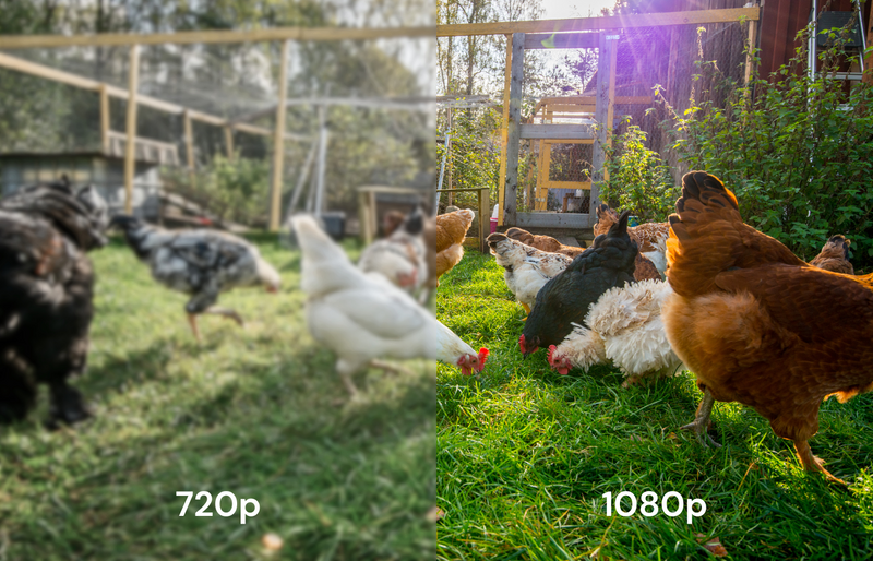 Load image into Gallery viewer, The Smart Coop AI Camera

