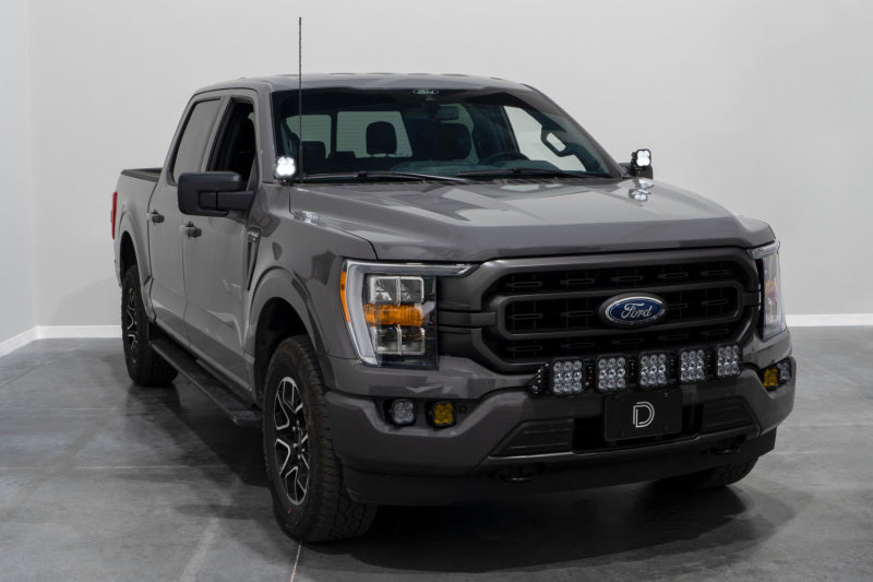 Load image into Gallery viewer, Diode Dynamics 21-22 Ford F-150 SSC2 Stage Series Backlit Ditch Light Kit - Pro White Combo
