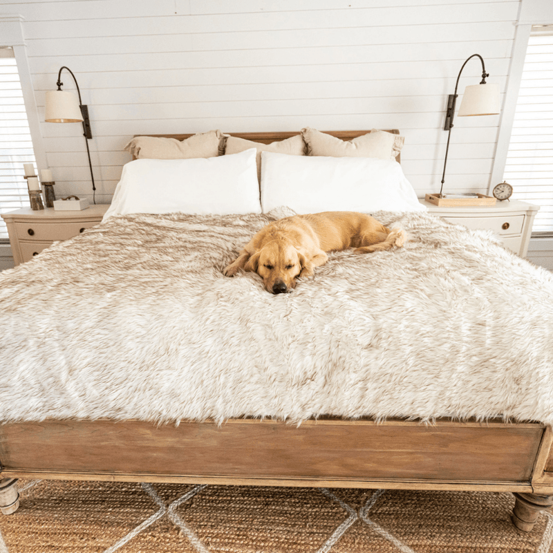 Load image into Gallery viewer, PupProtector™ Waterproof Throw Blanket - White with Brown Accents
