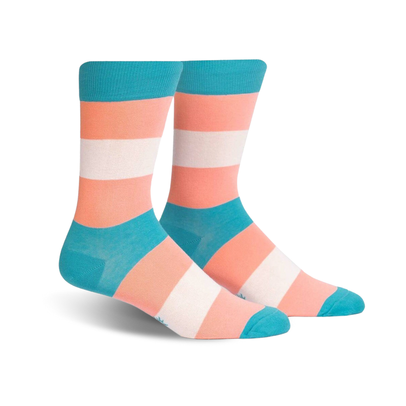 Load image into Gallery viewer, Trans Pride
