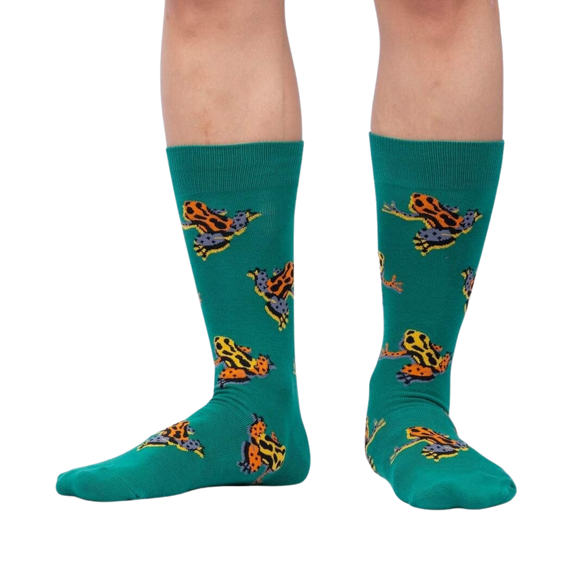 Load image into Gallery viewer, Poison Dart Frog
