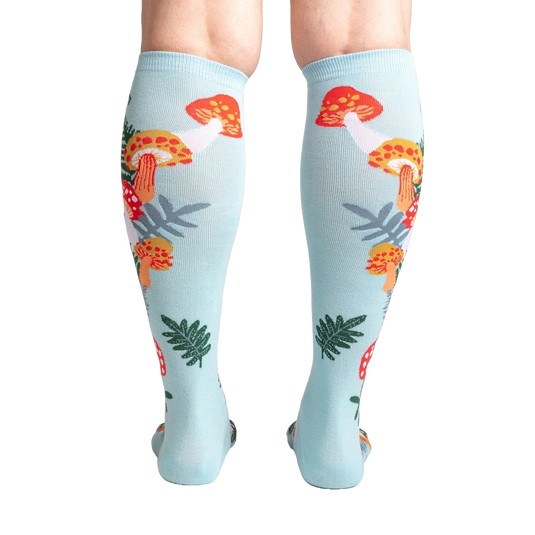 Wonderland Mushrooms