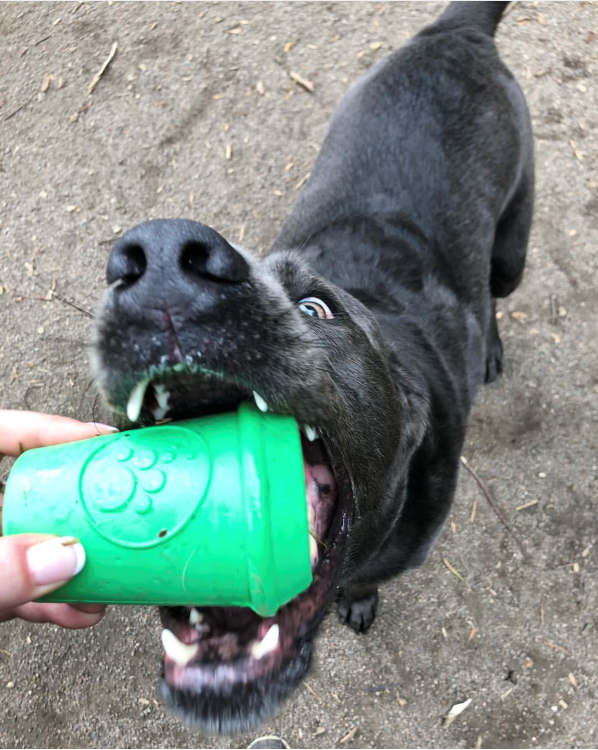Load image into Gallery viewer, Coffee Cup Rubber Dog Chew Toy for Power Chewers | Treat Dispenser | USA Made

