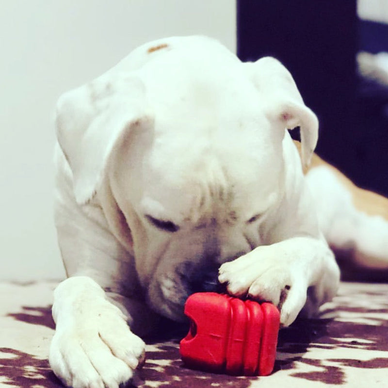 Load image into Gallery viewer, Heart on a String Dog Toy - Durable Rubber Tug Toy for Large Dogs | USA Made
