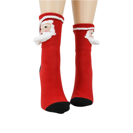 Santa 3D