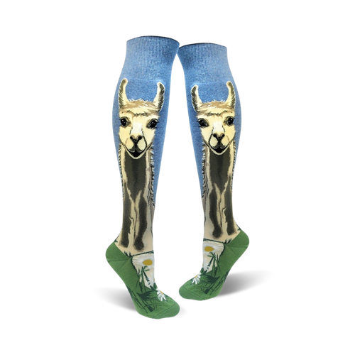 Llovely Llama Roll Top