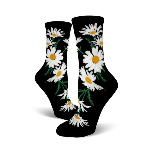 Crazy for Daisies
