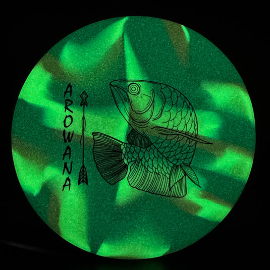 glO-G Arowana