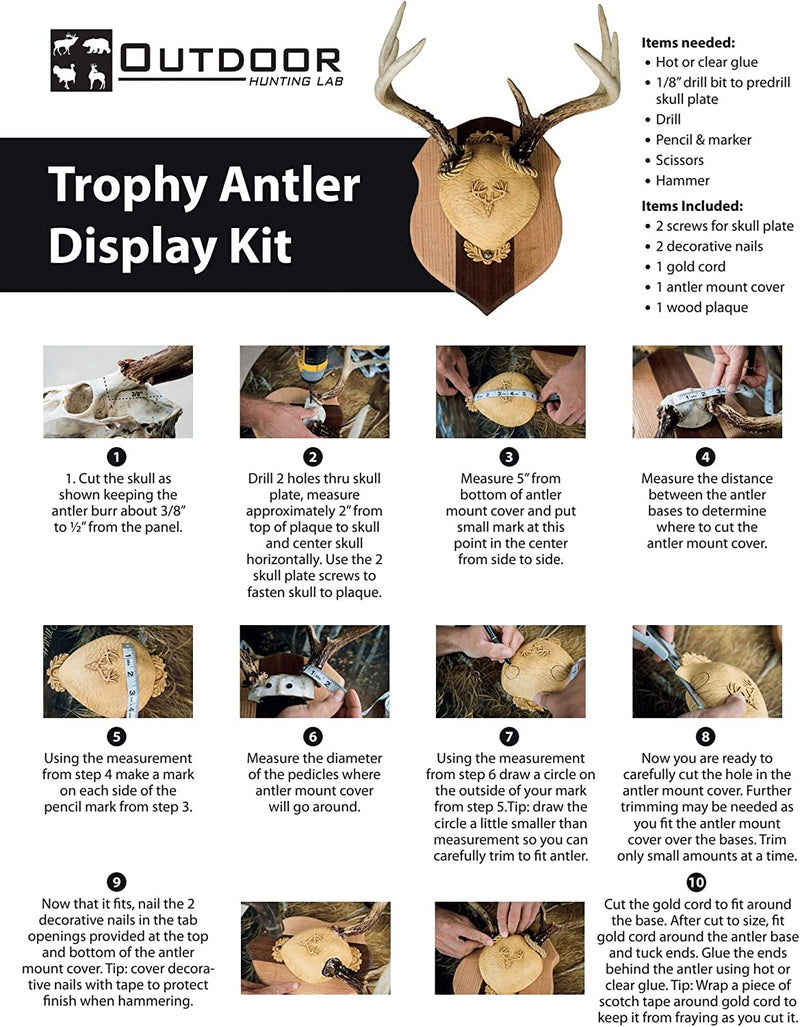 Load image into Gallery viewer, Antler Plaques
