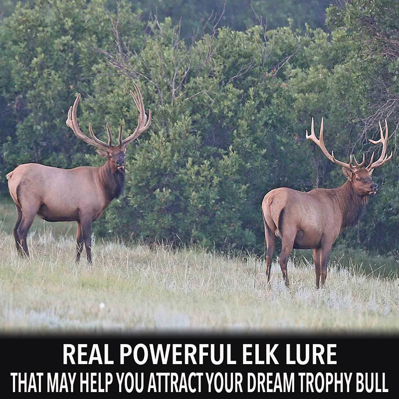 Load image into Gallery viewer, Elk Urine
