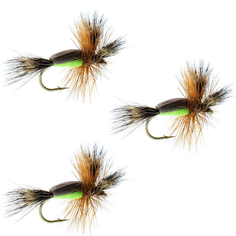 Load image into Gallery viewer, 3 Pack Barbless Chartreuse Humpy Classic Hair Wing Dry Fly - Hook Size 12
