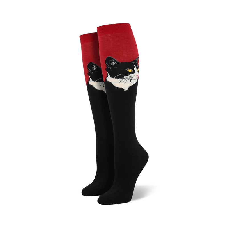 Load image into Gallery viewer, Cat Portrait
