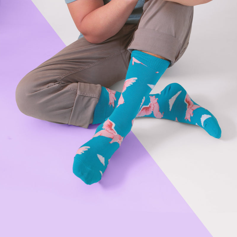 Load image into Gallery viewer, Flying Pig
