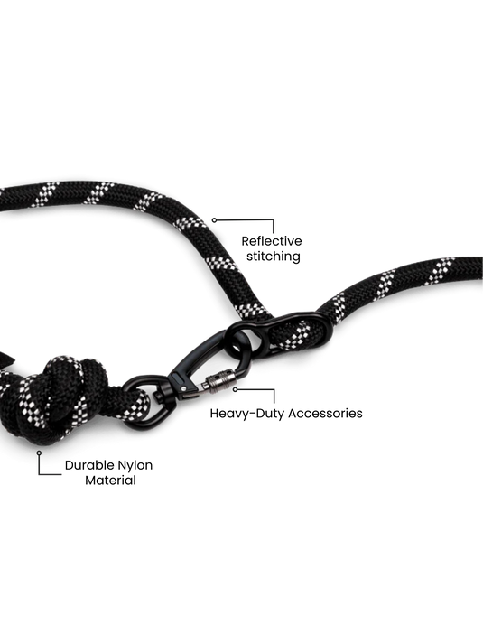 Blackout Running Hands-Free Dog Leash