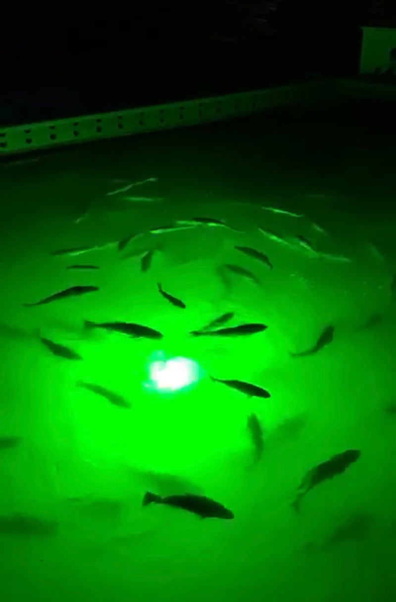 Load image into Gallery viewer, Super Mega Brite Underwater Light System (400 Watts)
