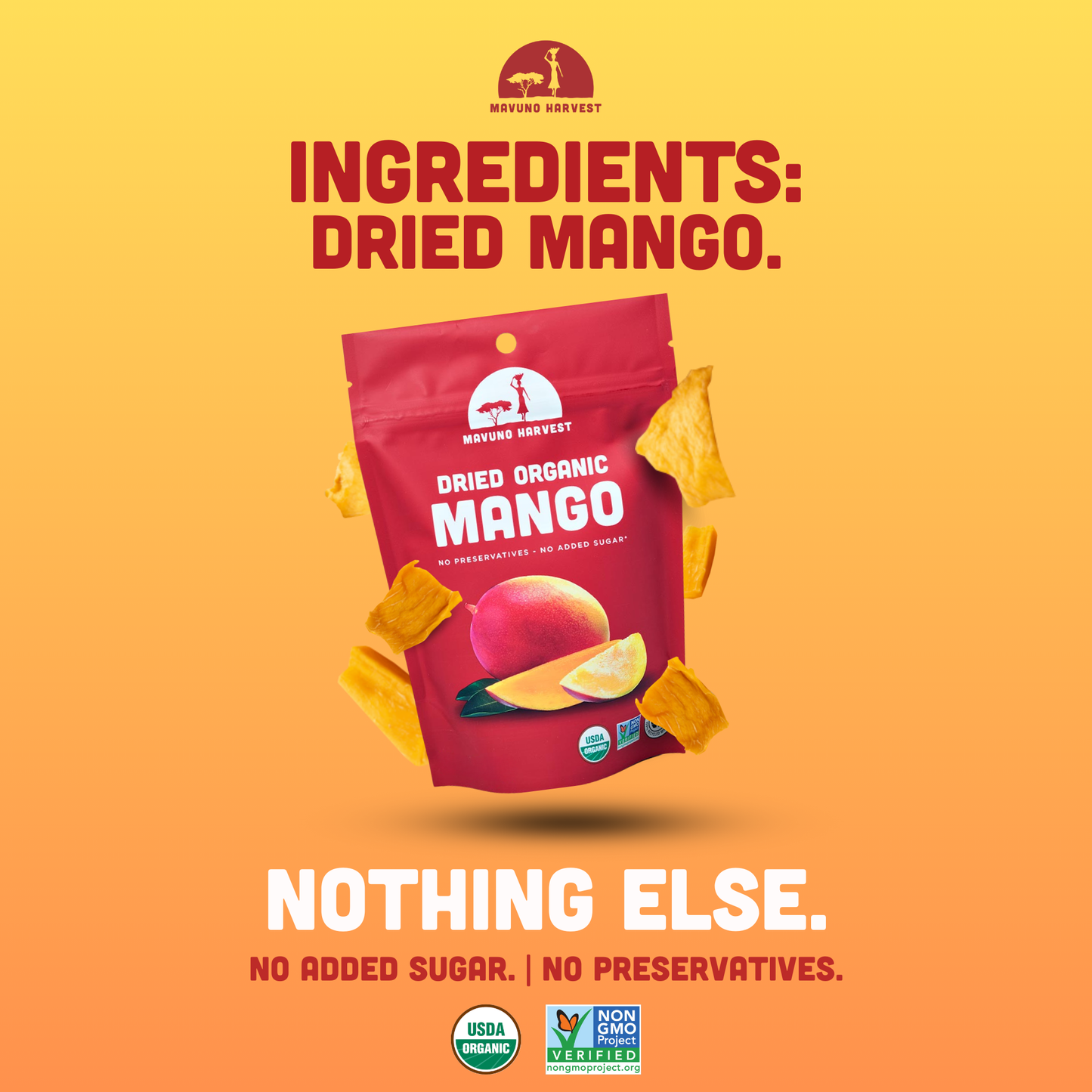 Organic Dried Mango