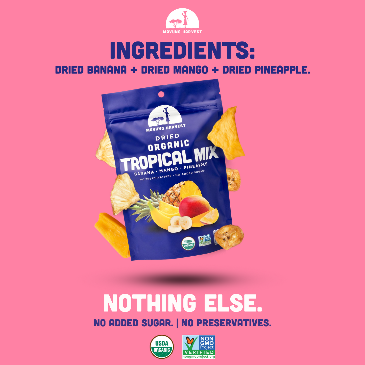 Organic Dried Tropical Mix