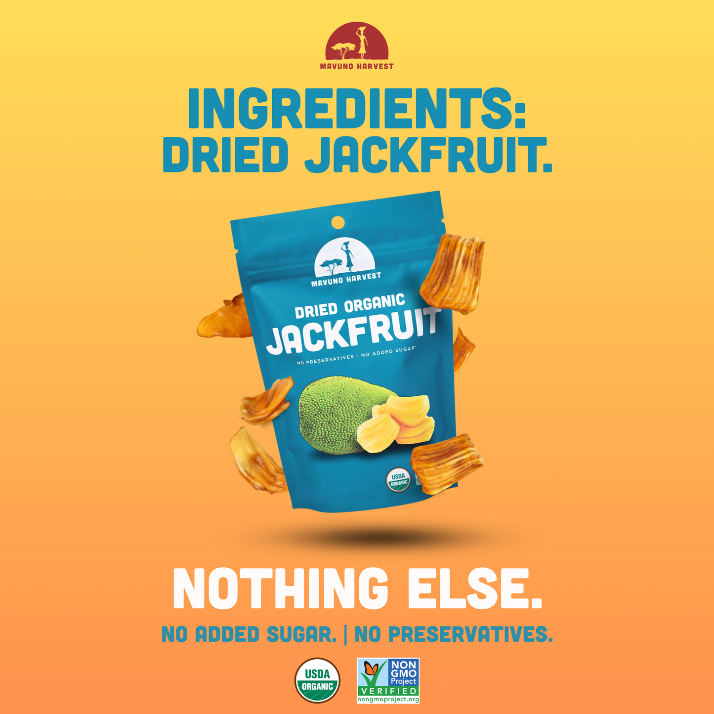 Organic Dried Jackfruit