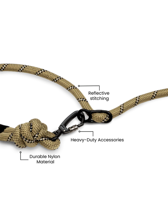 Olive Green Running Hands-Free Dog Leash